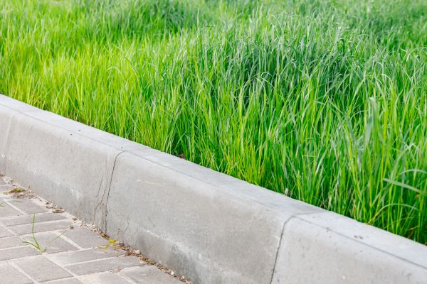 Concrete Curb Repair in Oroville