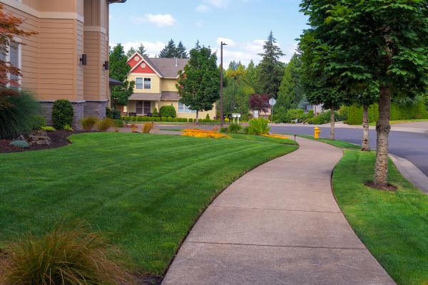 Sidewalk Patching in Oroville
