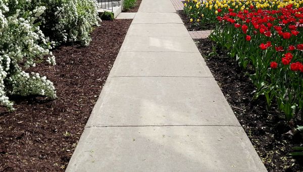 Concrete Pathway Repair in Oroville