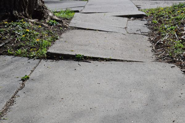Sidewalk Trip Repair in Oroville